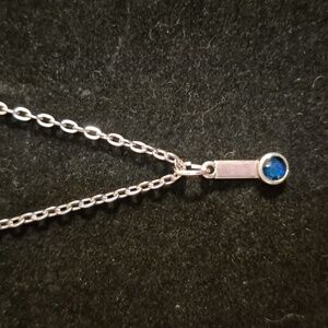 Sapphireskies Designs Sterling & Resin Charm Necklace